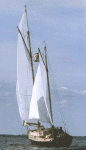 Centennial-stern.gif (64795 bytes)