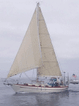 Jason-sailing.gif (72002 bytes)