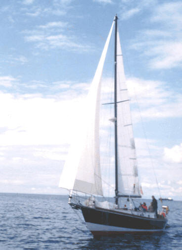 Sloop Sailing
