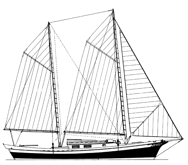 Sharpie Sailboat Plans