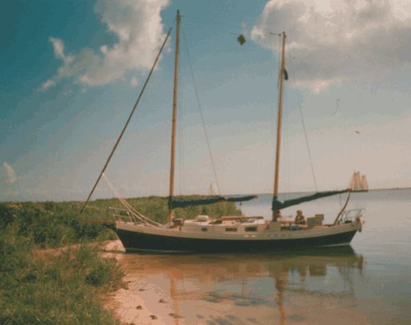 MysticSharpie-beached.gif (88949 bytes)