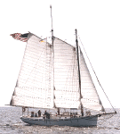 Sophia-C-sailing.gif (41190 bytes)